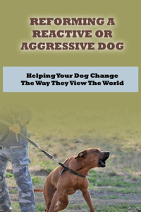 Reforming A Reactive Or Aggressive Dog