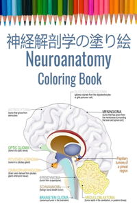 神経解剖学の塗り絵 Neuroanatomy Coloring Book
