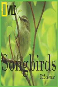 Songbirds calendar 2022