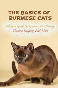 Basics Of Burmese Cats