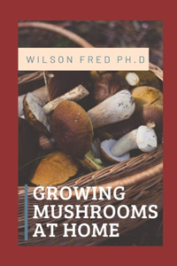 Growing Mushrooms at Home