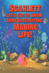 Scarlett Let's Get to Know Some Fascinating Marine Life!