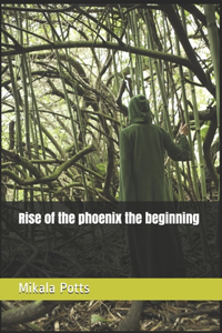 Rise of the phoenix the beginning