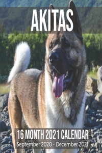 Akitas 16 Month 2021 Calendar September 2020-December 2021