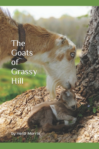 Goats of Grassy Hill