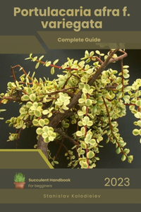 Portulacaria afra f. variegata