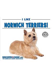 I Like Norwich Terriers!