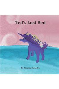 Ted's Lost Bed