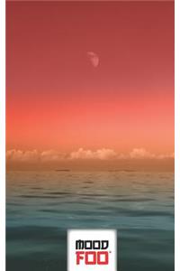 Mood Foo(tm) - Mind Over Mood - Notebook, Log, Journal - Beauty Series - 013