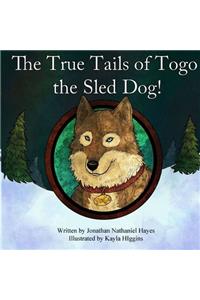 True Tails of Togo the Sled Dog!