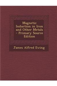 Magnetic Induction in Iron and Other Metals