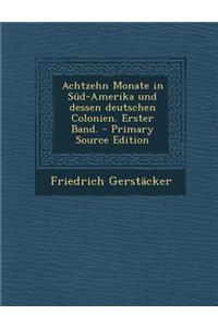 Achtzehn Monate in Sud-Amerika Und Dessen Deutschen Colonien. Erster Band. - Primary Source Edition