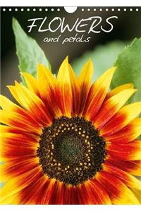 Flowers and Petals 2017