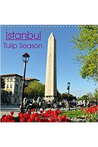Istanbul Tulip Season 2017
