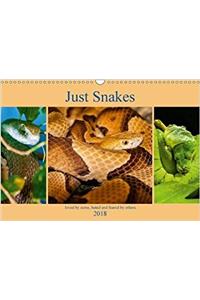 Just Snakes 2018