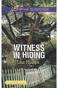 Witness in Hiding