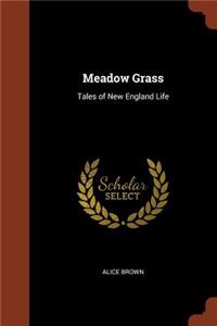 Meadow Grass