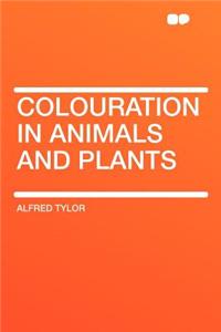 Colouration in Animals and Plants