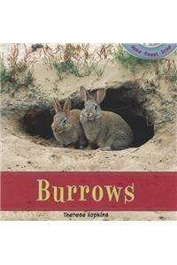 Burrows
