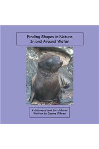 Finding Shapes in Nature