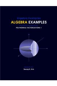 Algebra Examples Polynomial Factorizations 1