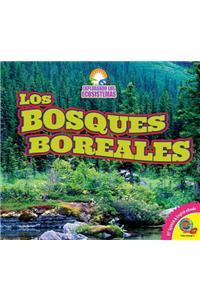 Los Bosques Boreales