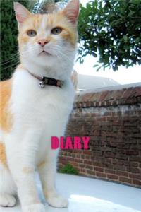 Diary