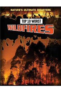 Top 10 Worst Wildfires