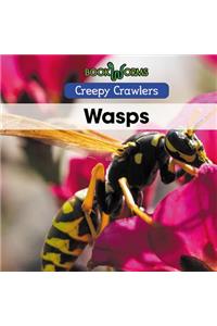 Wasps