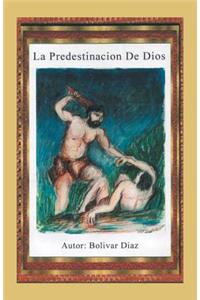 predestinación de Dios