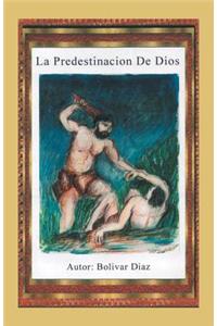 predestinación de Dios