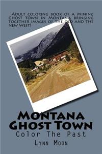 Montana GhostTown