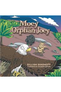 Moey the Orphan Joey