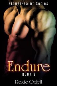 Endure: Bad Boy Romance