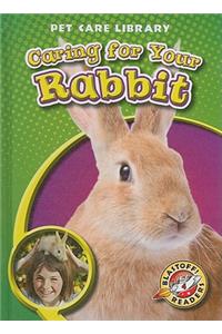 Caring for Your Rabbit