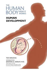 Human Development