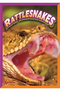 Rattlesnakes