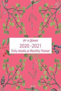 At a Glance 2020-2021 Daily Weekly & Monthly Planner