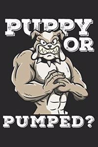 Puppy or Pumped?