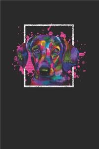 Colorful Dachshund