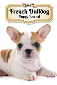 2020 French Bulldog Puppy Journal