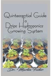 Quintessential Guide To Drips Hydroponics Growing System