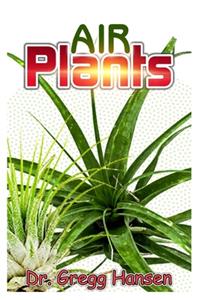 Air Plants