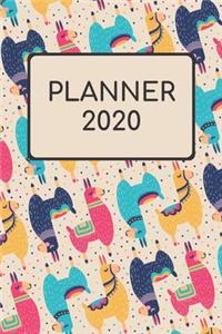 Planner 2020