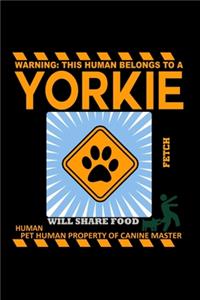 Yorkie