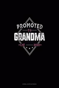Promoted To Grandma Est. 2020