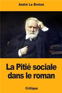 La Pitié sociale dans le roman