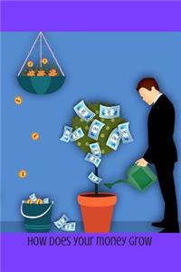 How Does Your Money Grow
