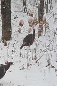 2019 Daily Planner Winter Wild Turkeys Snowstorm 384 Pages