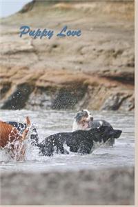 Puppy Love